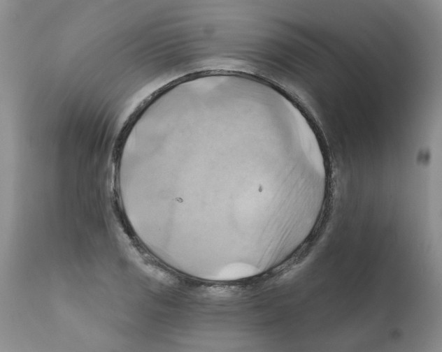X0000111511125200908251107