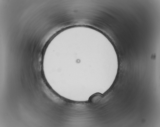 X0000111511126200908251107