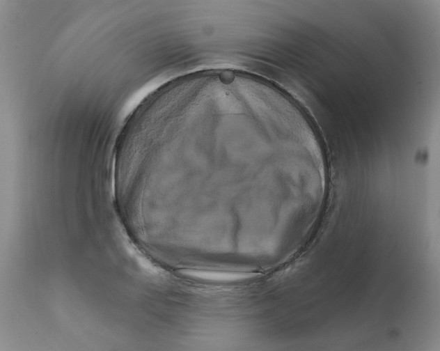 X0000111511127200908251107