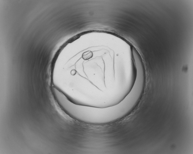 X0000111511128200908251107