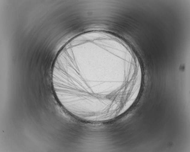 X0000111511129200908251107