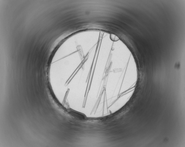 X0000111511133200908251107