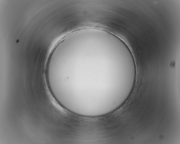 X0000111511136200908251107