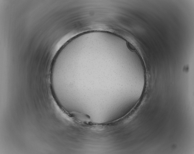 X0000111511141200908251107