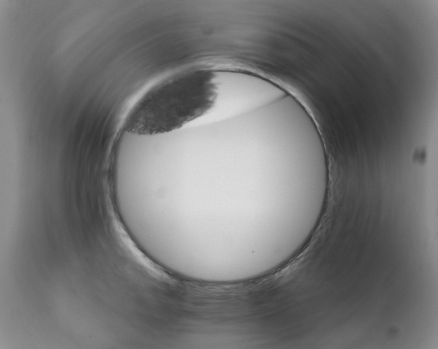 X0000111511142200908251107