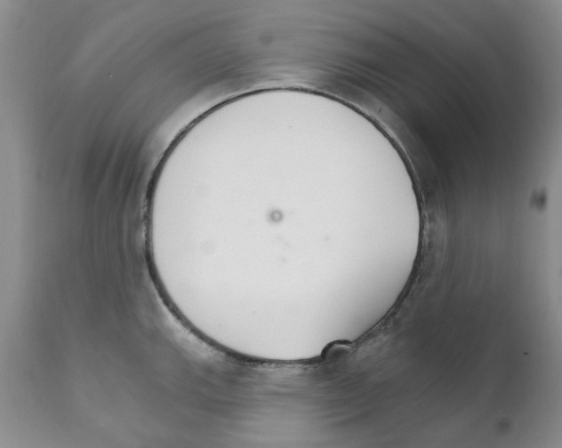 X0000111511143200908251107