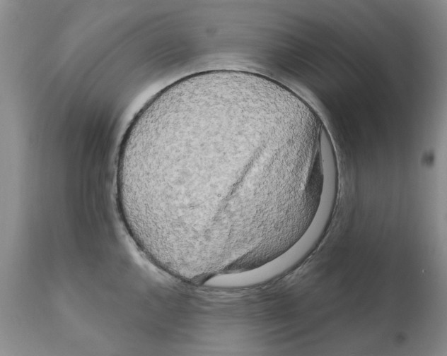 X0000111511144200908251107