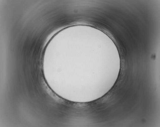 X0000111511148200908251107