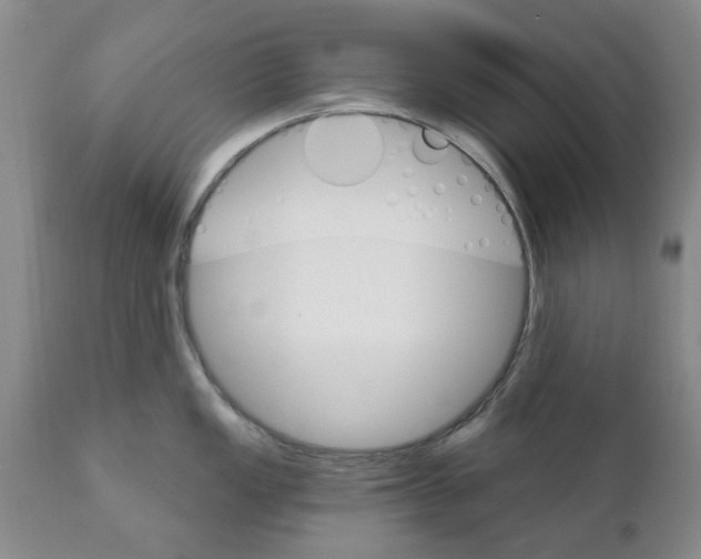 X0000111511149200908251107