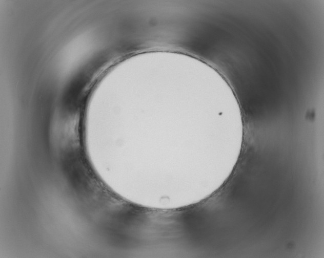 X0000111511150200908251107