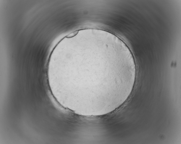 X0000111511152200908251107