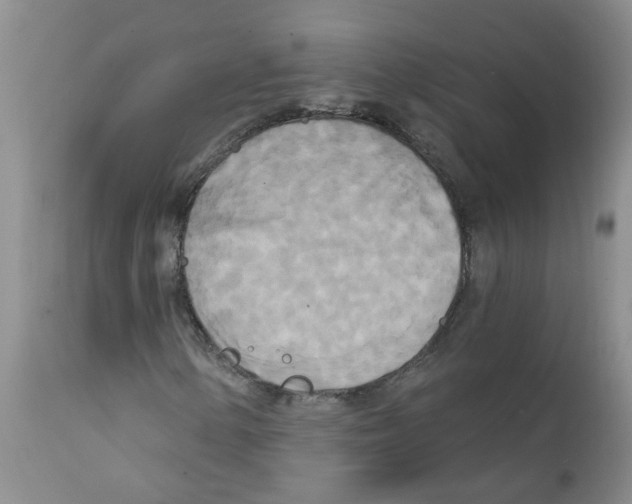 X0000111511154200908251106
