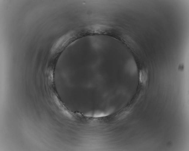 X0000111511155200908251106