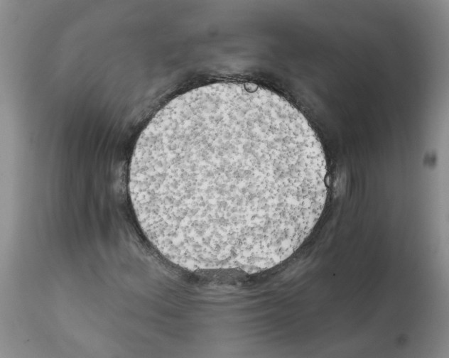 X0000111511156200908251106