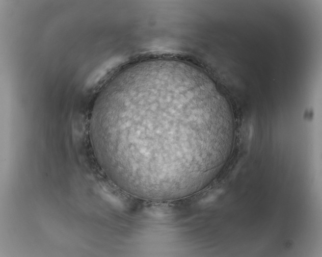 X0000111511157200908251106