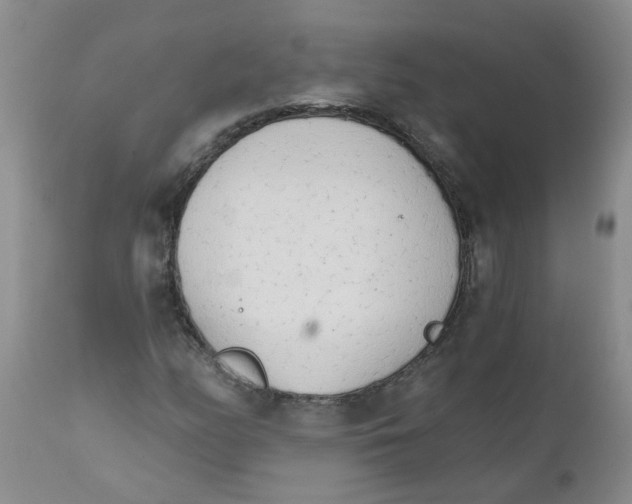 X0000111511158200908251106