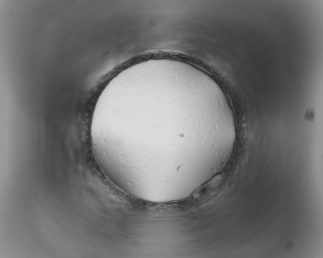 X0000111511159200908251106