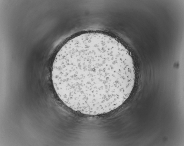 X0000111511160200908251106