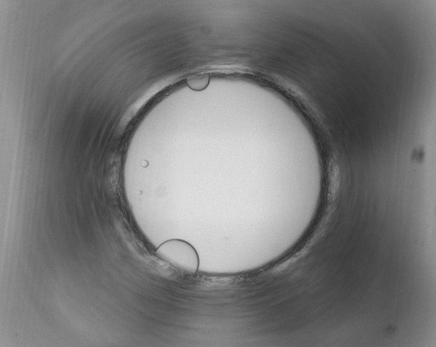 X0000111511162200908251106
