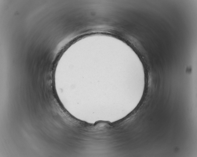 X0000111511164200908251106