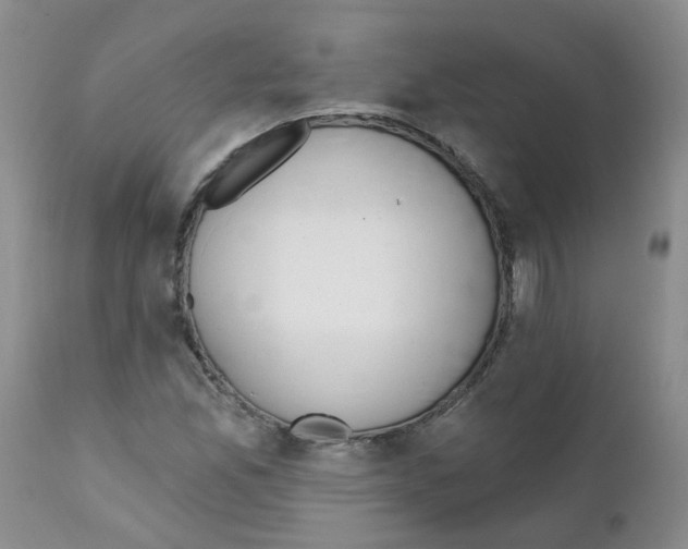 X0000111511165200908251106