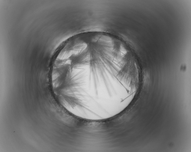 X0000111511166200908251106