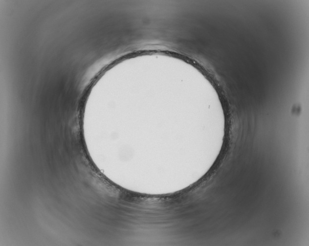 X0000111511167200908251106