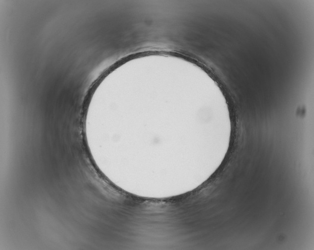X0000111511168200908251106