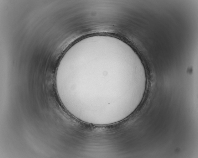 X0000111511169200908251106