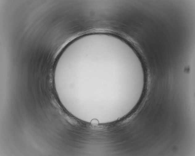 X0000111511170200908251106