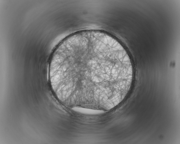 X0000111511171200908251106