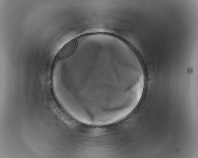 X0000111511173200908251106