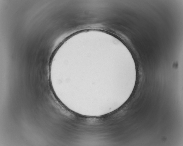 X0000111511176200908251106