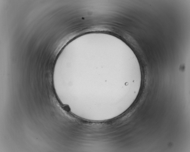 X0000111511177200908251106