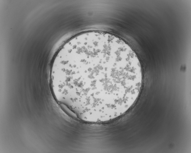 X0000111511180200908251106