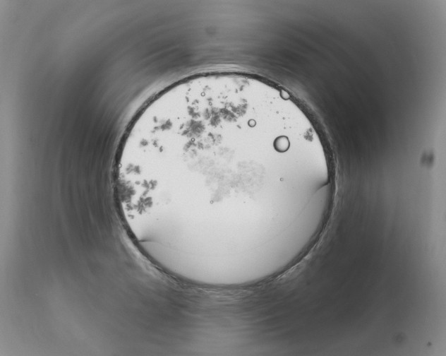 X0000111511181200908251106