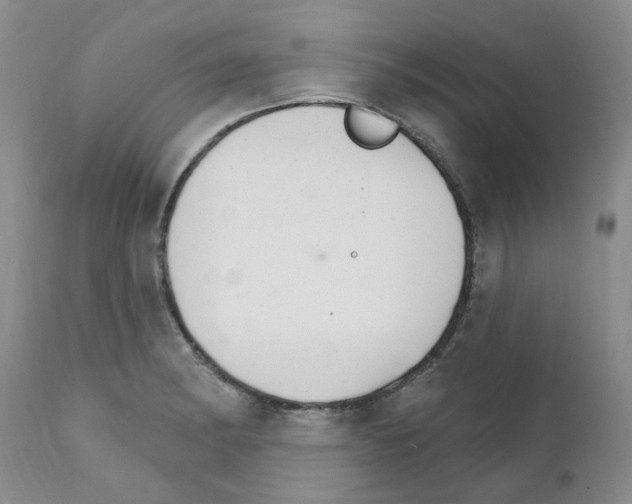X0000111511182200908251106