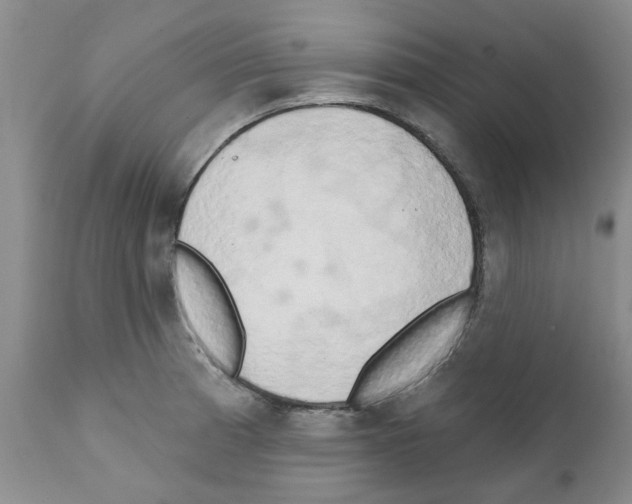 X0000111511185200908251106