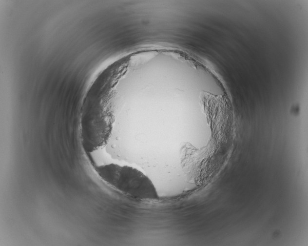 X0000111511187200908251106