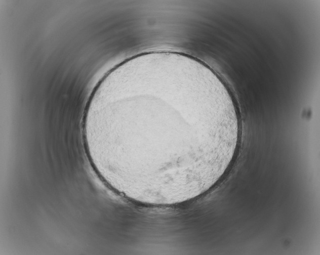 X0000111511189200908251106