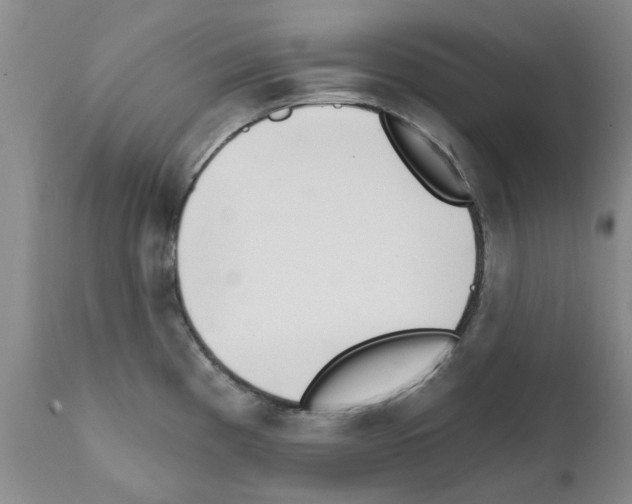 X0000111511193200908251106