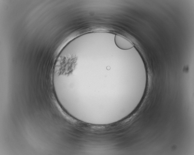 X0000111511194200908251106