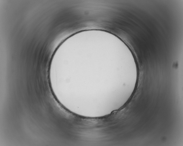 X0000111511197200908251106