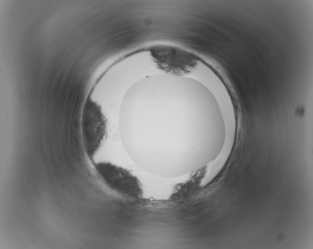 X0000111511199200908251106