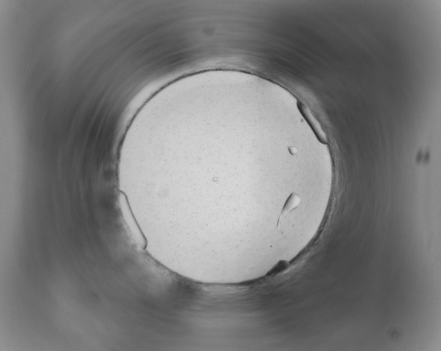 X0000111511200200908251106