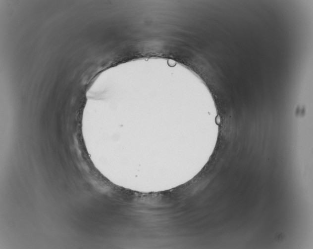 X0000111511201200908251105