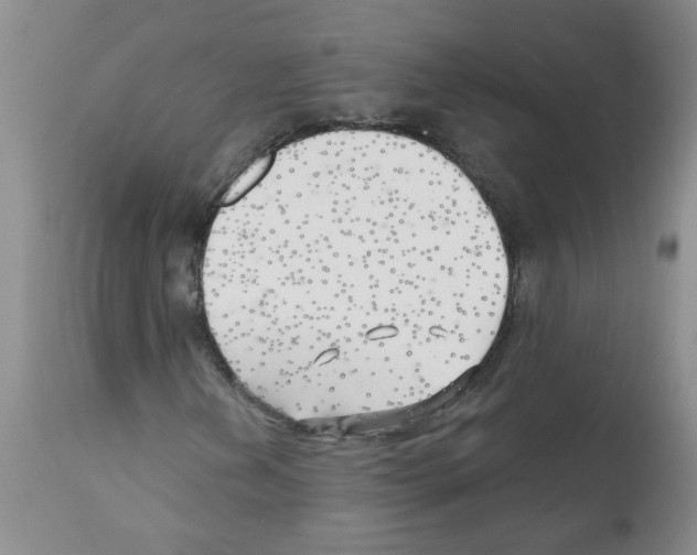 X0000111511202200908251105