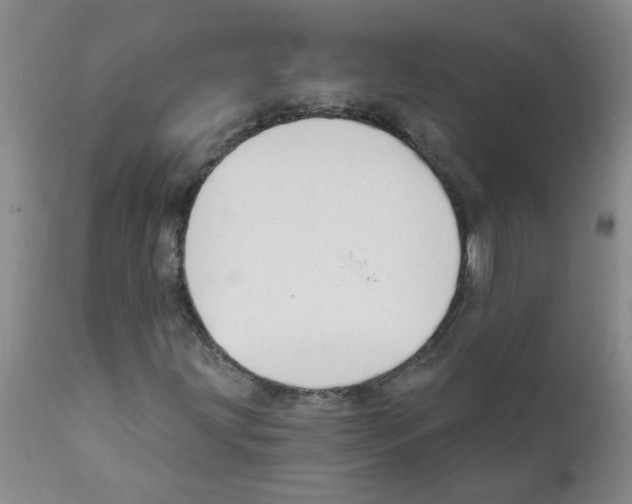 X0000111511203200908251105