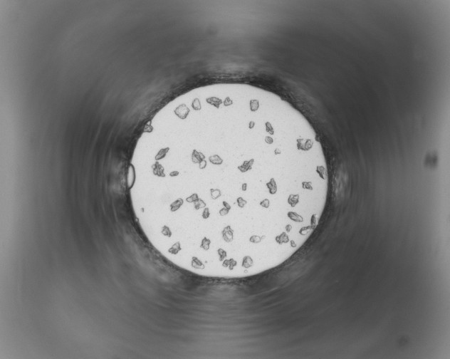 X0000111511204200908251105