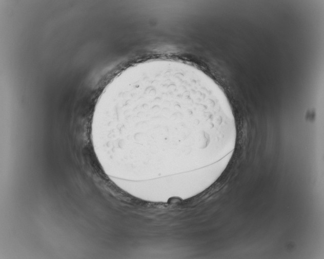 X0000111511205200908251105